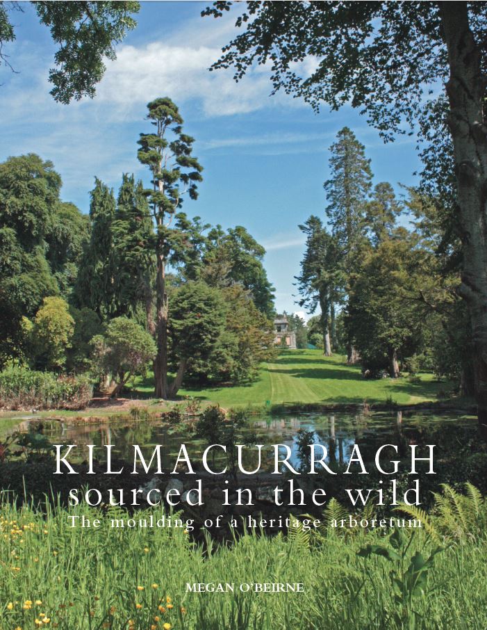 Kilmacurragh book cover